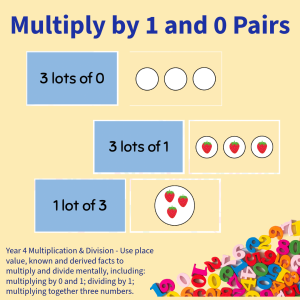 Multiply by 1 and 0 Pairs